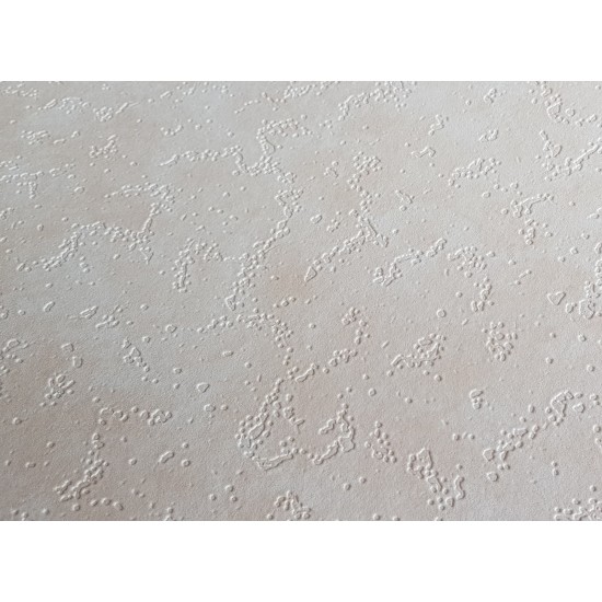 Виниловые обои на бумажной основе моющиеся Vinil Decoration 0.53х10.05 м 416822