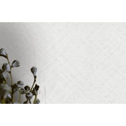 Обои Marburg Botanica 1.06 х 10.05м 33015 Обои Marburg Botanica 1.06 х 10.05м 33015