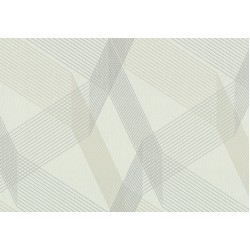Флизелиновые обои горячего тиснения Vinil ТФШ 1-1431 Скиф 1,06х10,05м