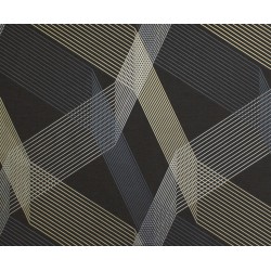 Флизелиновые обои горячего тиснения Vinil ТФШ 7-1431 Скиф 1,06х10,05м