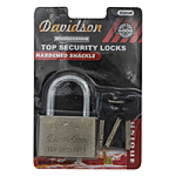 Замок навесной Extra FZB Davidson 60 мм 317103 Замок навесной Extra FZB Davidson 60 мм 317103