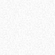 Панель пластиковая ПВХ Riko EX07.04 Марсель White 6000х250х8мм (полоса 1,5 м2)
