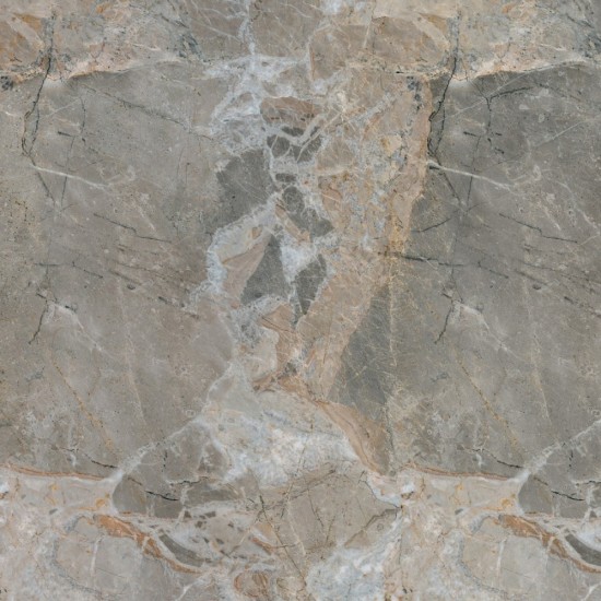 Керамогранит TEO Ceramics Ariana Grey F P 470x470x7 NR Mat 1
