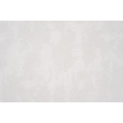 Виниловые обои на бумажной основе Славянские обои Elegance 4626-04 B116 1.06х10.05 м Виниловые обои на бумажной основе Славянские обои Elegance 4626-04 B116 1.06х10.05 м